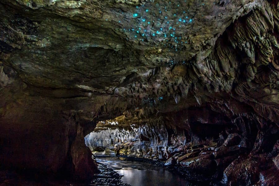 جولة إرشادية لمجموعة صغيرة في كهف الديدان المضيئة في ويتومو, at 1199 Oparure Road, Waitomo