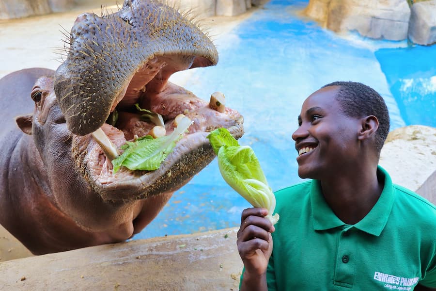 Emirates Park Zoo Tickets, at Emirates Park Zoo