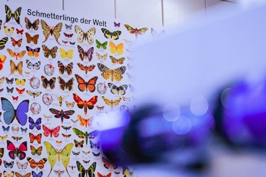Loop Bilik Melarikan Diri INFINITUM, at ELORIA - Experience Factory, Bottrop