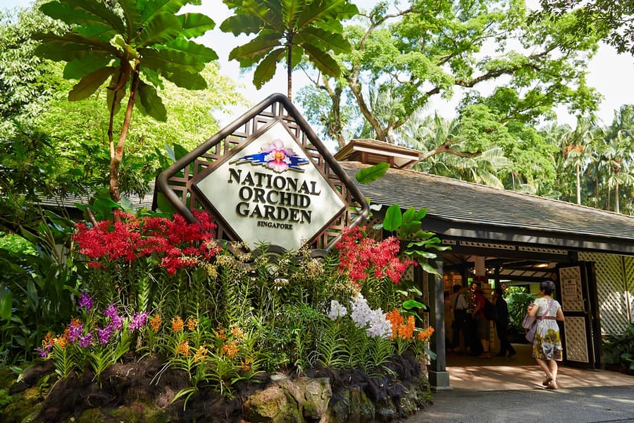 Singapore National Orchid Garden Tickets, Singapore