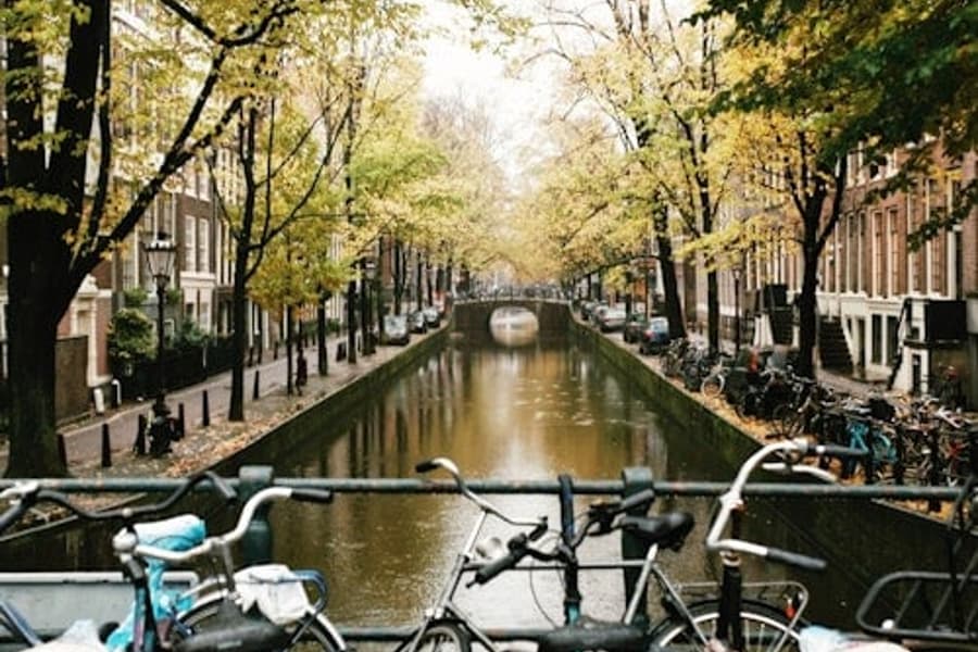 Amsterdam: Small Group City Walking Tour, at Amsterdam City Tours, Amsterdam