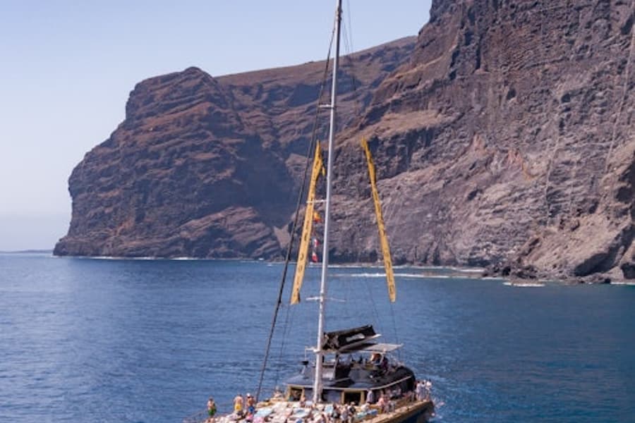 Tenerife: Tur de observare a balenelor și delfinilor de 4,5 ore către Masca și Los Gigantes, at Tenerife Sailing Tours, Costa Adeje