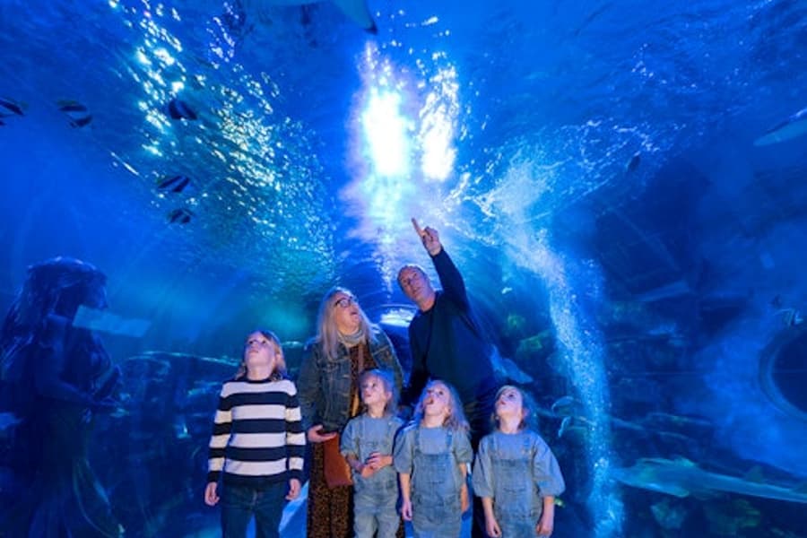SEA LIFE Birmingham: Entry Ticket, Birmingham