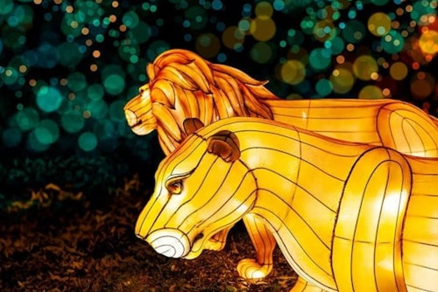 Zoo Lights at Zoo Miami, at Zoo Miami