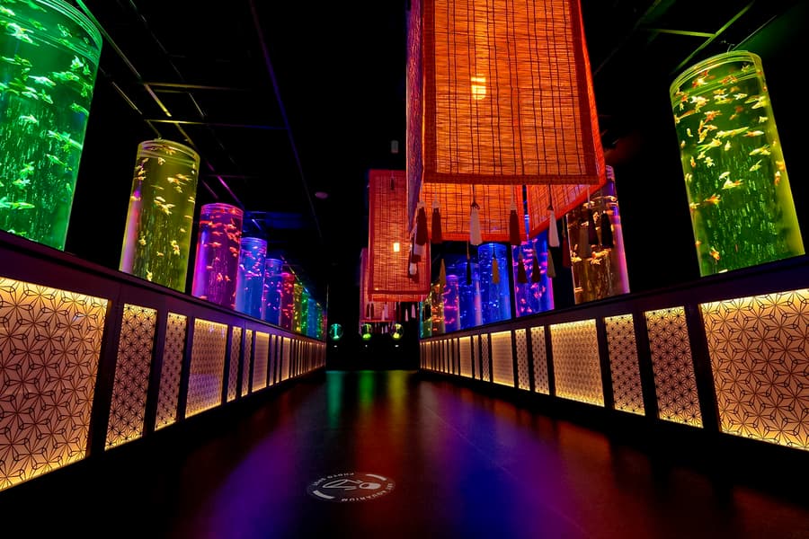 Art Aquarium Museum Ginza Tickets , at ART AQUARIUM MUSEUM