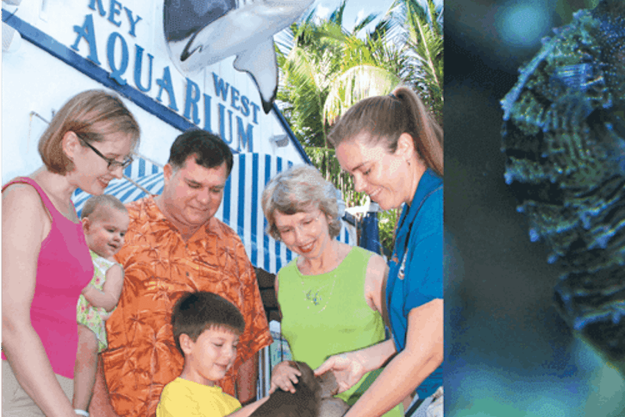 Key West Aquarium: Entry Ticket, Key West
