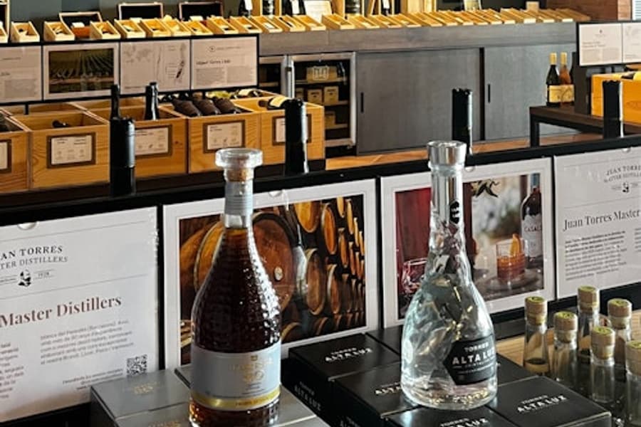 Barcelona: Guided Familia Torres Winery Tour + Tastings tickets at Familia Torres Winery