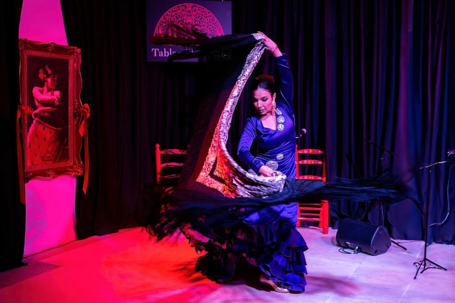 La Alboreá - Flamenco Show, Granada