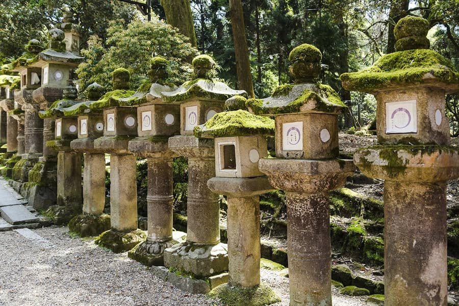 Kyoto & Nara by Private Car: Temples, Deer Park & Scenic Stops, Osaka