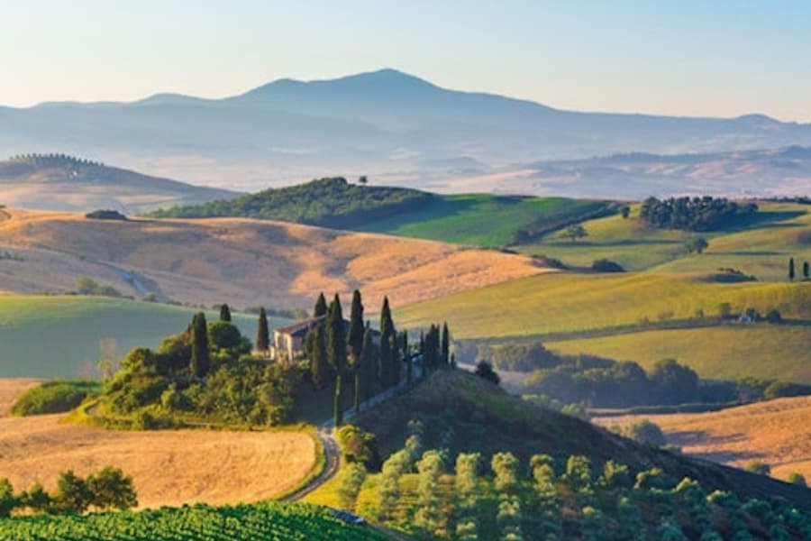 Pienza & Montepulciano: Day Trip from Florence + Montalcino Wine Tasting, at Wine Tours from Florence