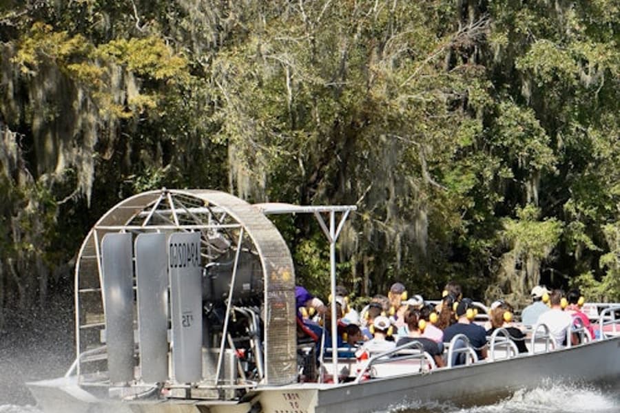 Nova Orleães: Aventura de Airboat, at New Orleans Outdoor Activities, New Orleans