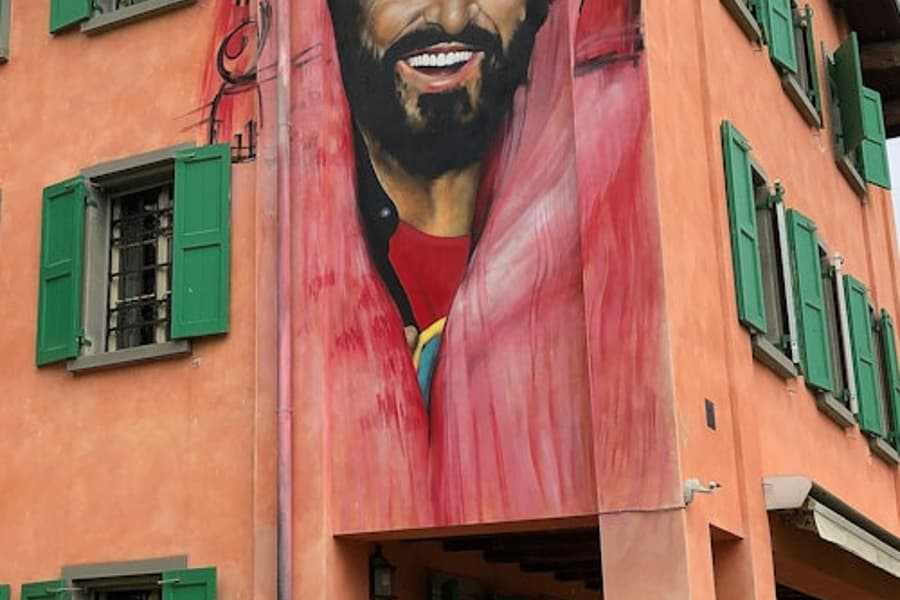 कासा म्यूज़ो लूसियानो पावारोटी: प्रवेश टिकट, at Casa Museo Luciano Pavarotti, Modena
