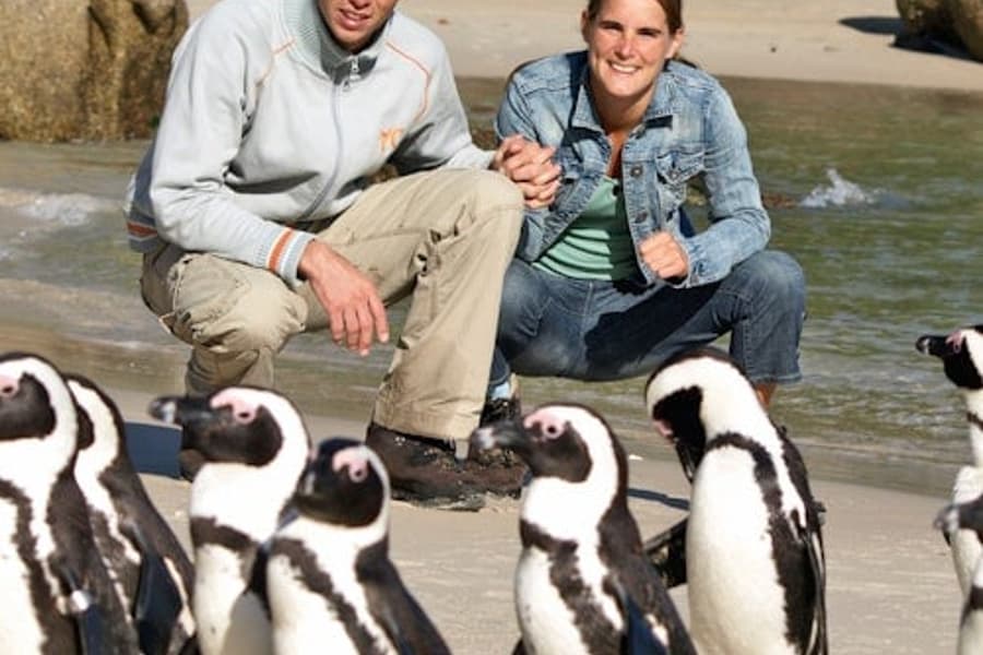 Boulders Beach & Cape Point: Half-Day Tour, Cape Town
