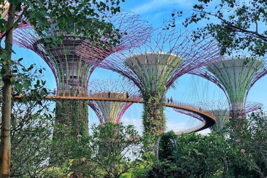 การ์เด้นส์ บาย เดอะ เบย์: ทัวร์พร้อมไกด์นำเที่ยว, Singapore