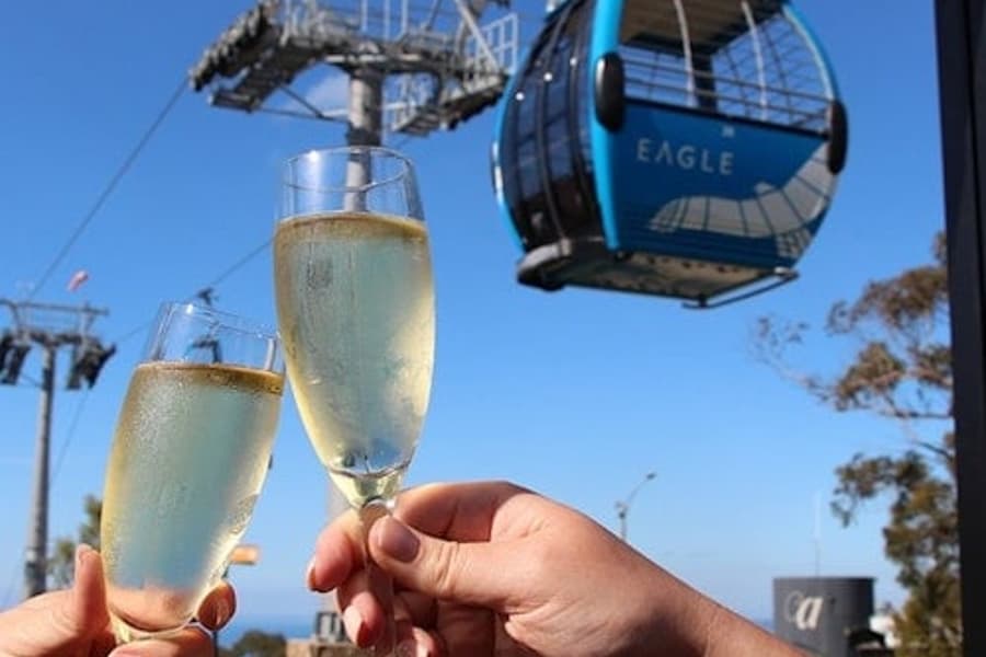 Arthurs Seat Eagle: Roundtrip Gondola Ticket + Drink, at Arthurs Seat Eagle