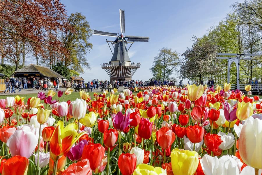 From Amsterdam: Keukenhof Expert Guided Tour with Round-Trip Transfers tickets at Keukenhof