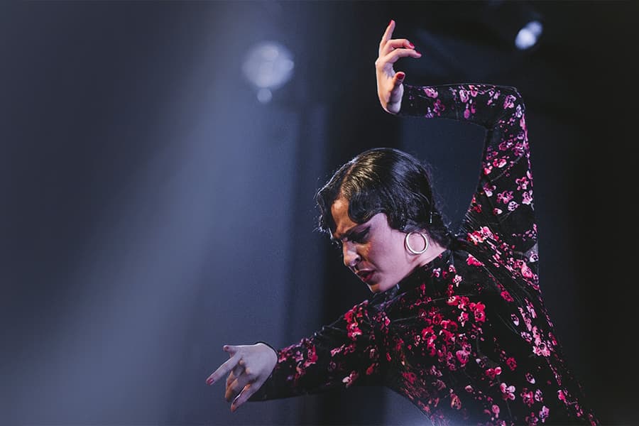 Casa Ana Flamenco Show, Granada