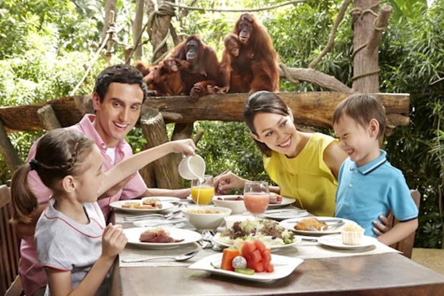 Singapore Zoo: Entry Ticket + Hotel Pickup at Singapore Zoo