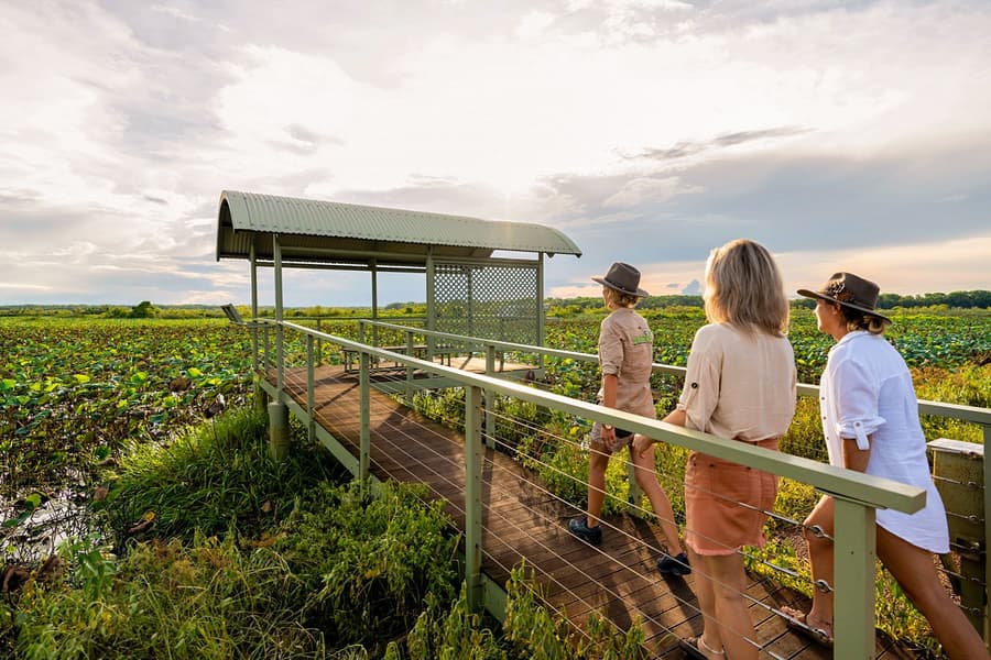 From Darwin: Kakadu Wilderness Full-Day Guided Tour, Darwin