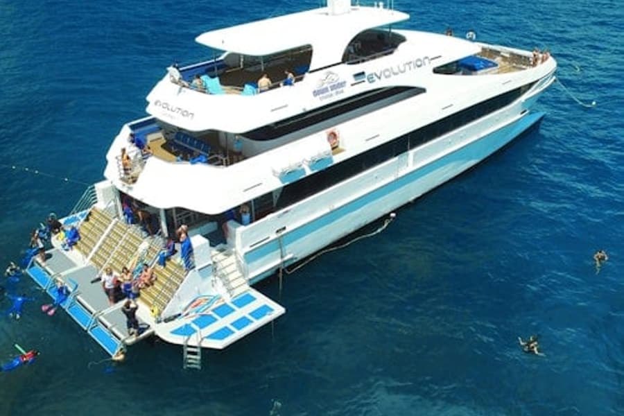 Całodniowa wycieczka na Zewnętrzną Wielką Rafę Koralową z lunchem, at Cairns Cruises Boat Tours, Cairns