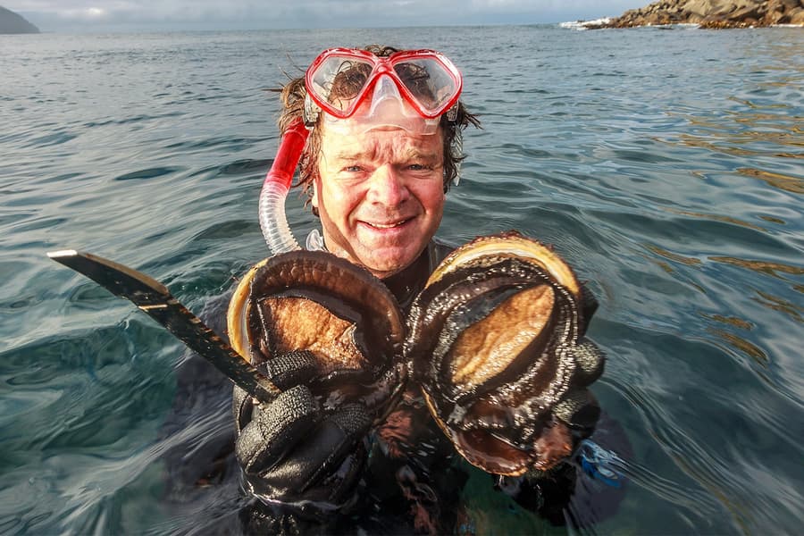Tour guiat de creuer de tot el dia a Tasmània amb dinar de marisc, Hobart