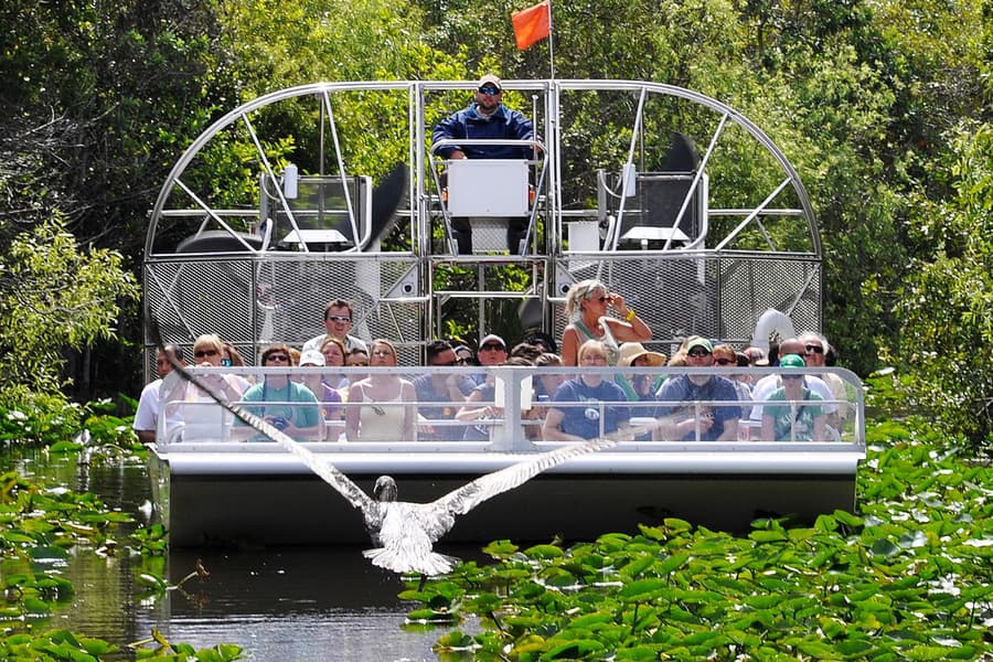 Din Miami: Tur cu aeroglisor în Everglades cu Spectacol de Faună Sălbatică, Miami