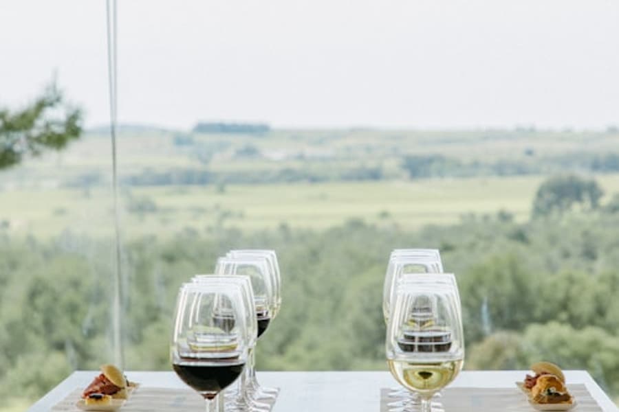 Jean Leon Winery: Guided Tour + Wine & Tapas Pairing, at Jean Leon Winery