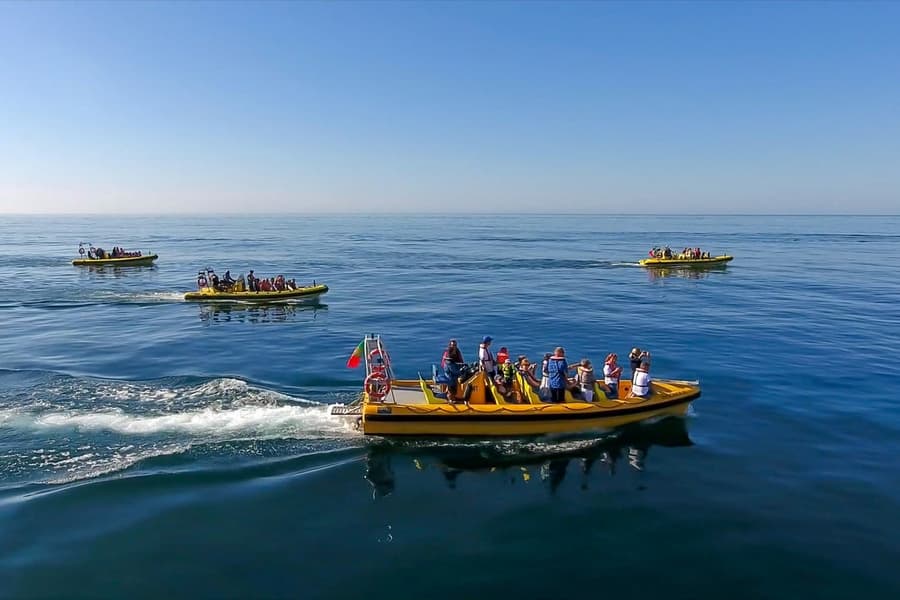 Crucero guiado de 2 horas para avistamiento de delfines y cuevas en Algarve, at Dream Wave, Marina de Albufeira Passeio dos Oceanos, Albufeira