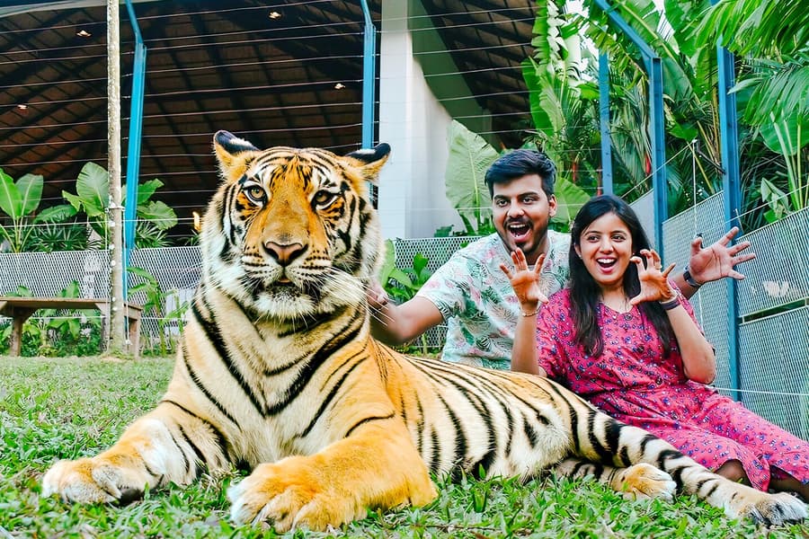 Bilhetes para o Parque dos Tigres, at Tiger Park Phuket, Phuket