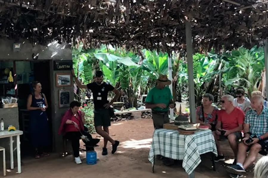 Tenerife: Banana Plantation & Winery Tour + Wine Tasting