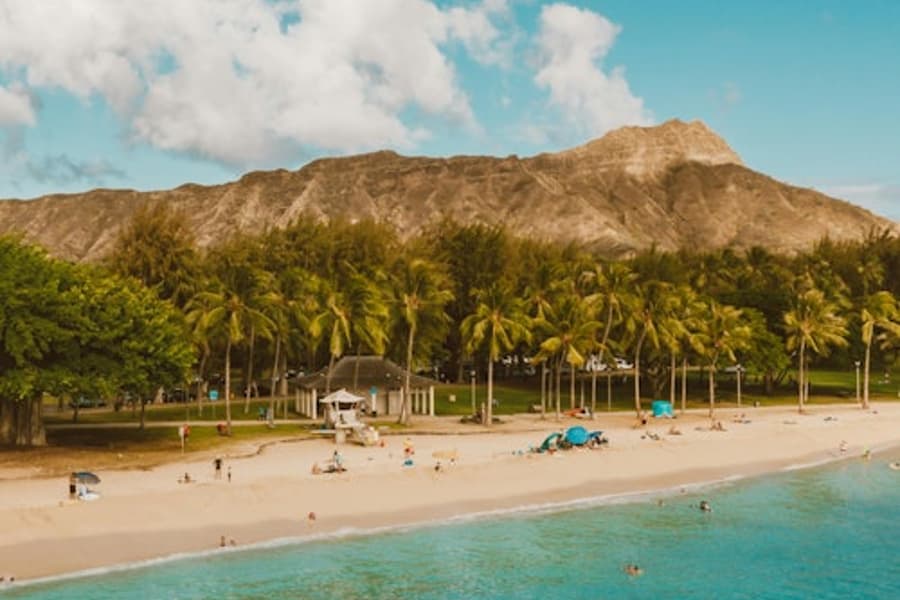 Waikiki: Roundtrip Shuttle Transfer from Ko Olina