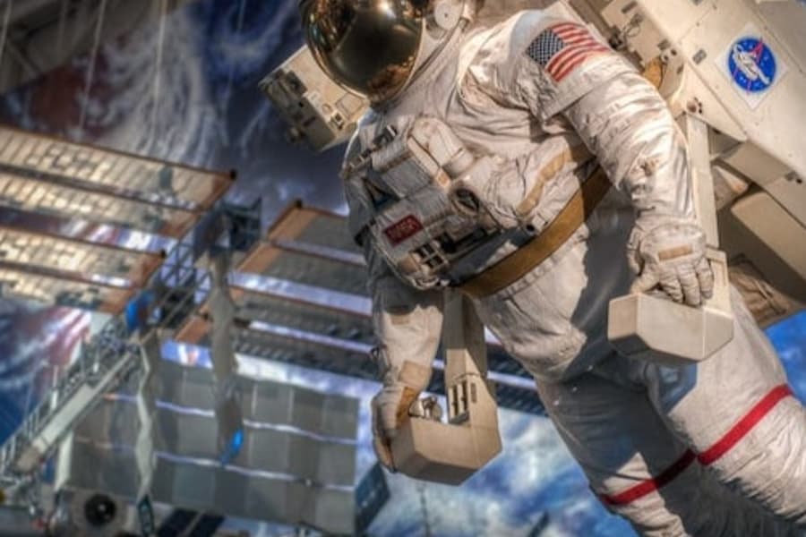 Houston: Guided City Tour + NASA Space Center Entry + Transfers, Houston
