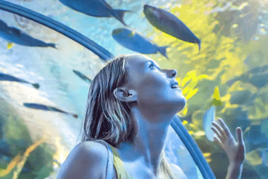Dubai Aquarium & Underwater Zoo: Gold Pass tickets at Dubai Aquarium & Underwater Zoo