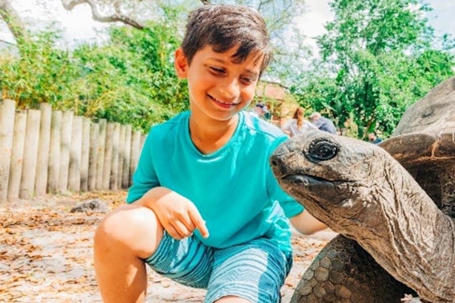 Lowry Park 的 ZooTampa:快線票, at ZooTampa at Lowry Park, Tampa