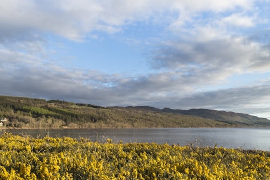 Den fullstendige Loch Ness-opplevelsen: Dagstur fra Inverness, Inverness