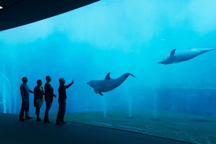 Akværíið í Genóva: Aðgangsmiði + Ís smökkun, at Aquarium of Genoa, Genoa