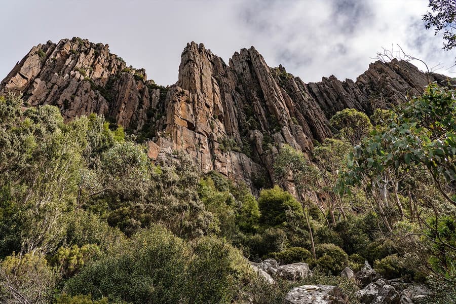Guided Tour of Mt Wellington, Hobart