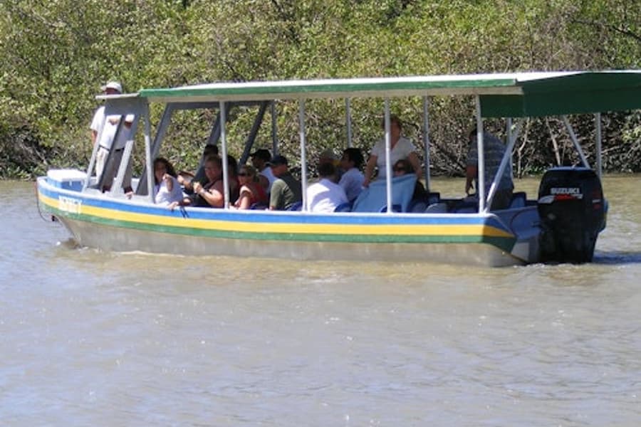 पलो वर्डे नेशनल पार्क: जंगल रिवर क्रूज़, at Palo Verde National Park, Liberia
