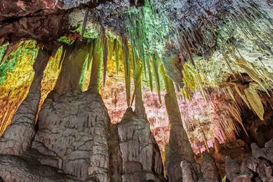 Kombiticket für Dinosaurland & Caves dels Hams, Porto Cristo