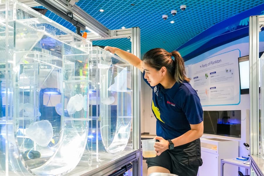 Singapore Oceanarium Tickets, Singapore