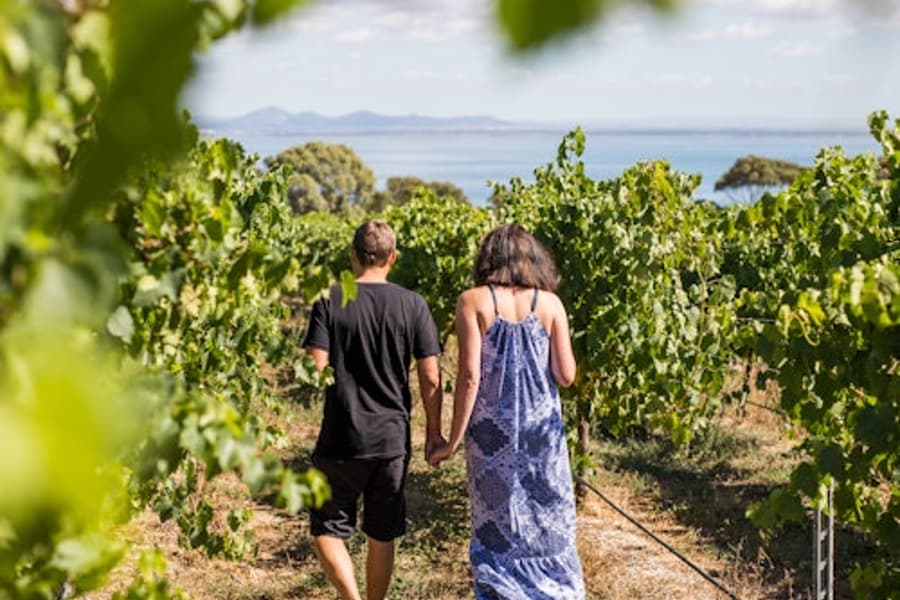 Autour de la Baie : Excursion d'une journée au départ de Melbourne avec dégustations de mets et vins, Melbourne