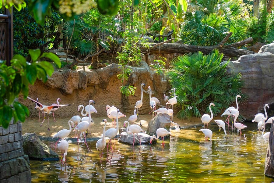 Entrades Bioparc Fuengirola, at Bioparc Fuengirola, Malaga