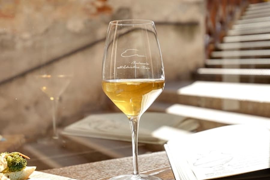 Venice: Local Wine Tasting Tour, at Venice Wine Tours