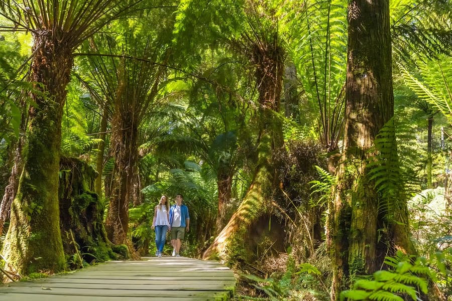 Tour invers de la Gran Ruta Oceànica i els Dotze Apòstols, Melbourne