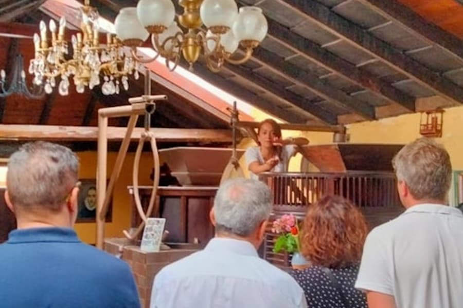 La Orotava: Tour Guidato con Degustazione di Gofio, at Tenerife Walking Tours, La Orotava