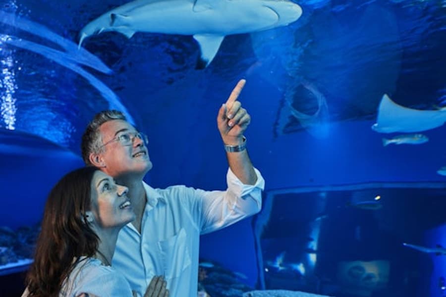 Cairns Aquarium: Night Entry + 2-Course Dinner, at Cairns Aquarium
