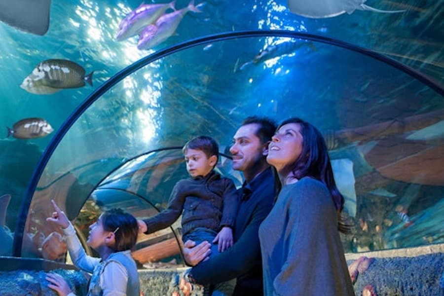 Gardaland SEA LIFE Aquarium: Entry Ticket, at Gardaland SEA LIFE Aquarium, Castelnuovo Del Garda