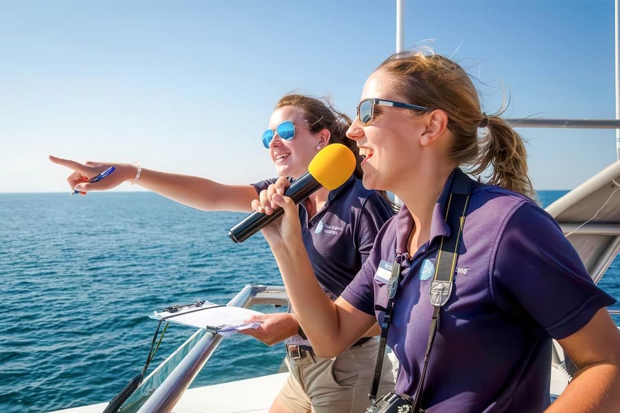 Akureyri: Walvisspot-tocht, at Boston Harbor City Cruises - Long Wharf, Boston