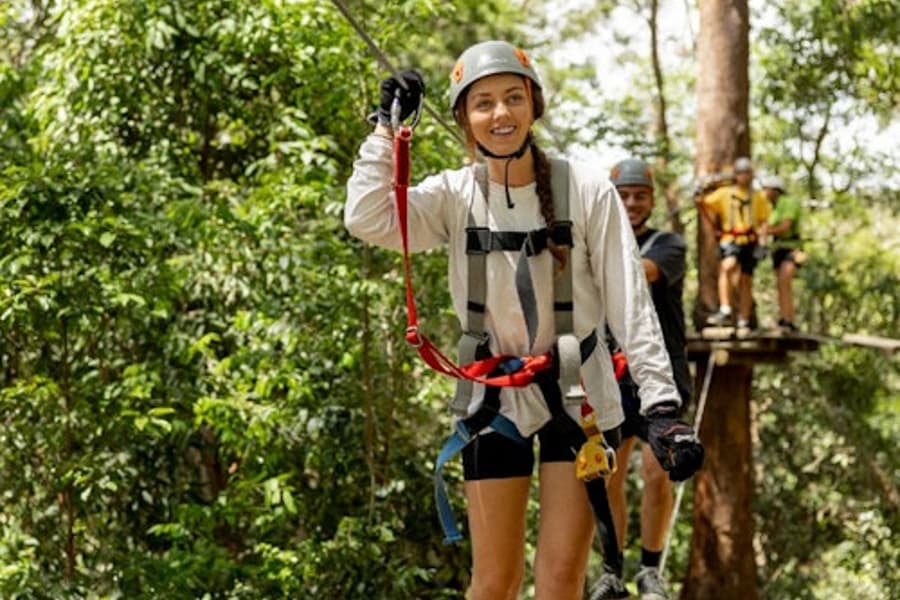 Tiket Kombinasi: Suaka Hidupan Liar Currumbin dan Cabaran TreeTop, Currumbin