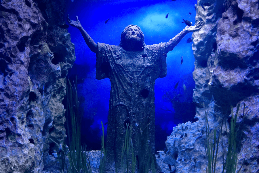 Entrades per l'Aquari Nacional de Malta, at Malta National Aquarium, St Pauls Bay